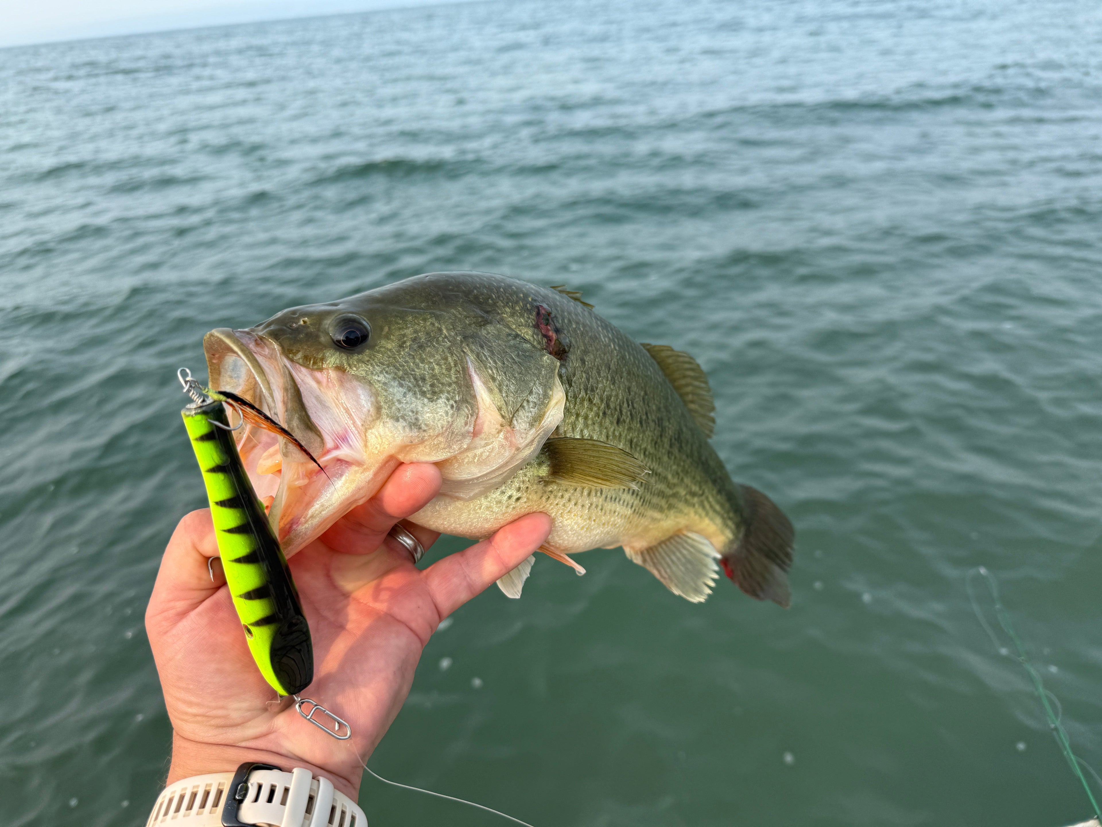 The Only One Who Caught a Fish - lostartlures.com
