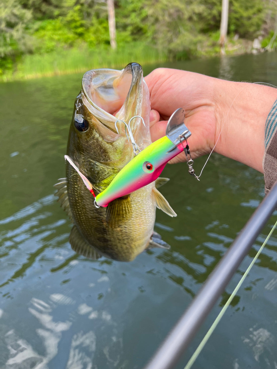 The Rogue 525: Why This Lure Does What Plastic Can't - lostartlures.com