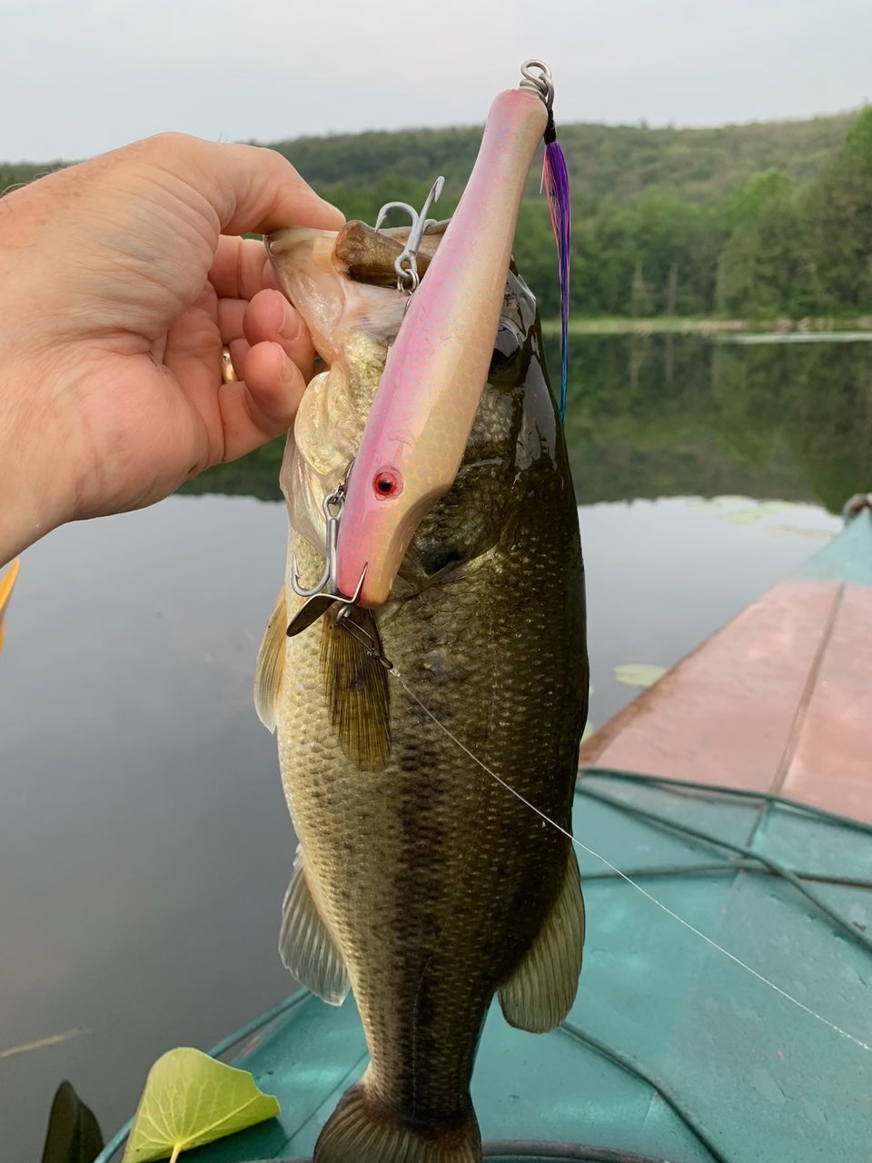 metal lip, stainless steel, bass, pike, musky, striper, fishing, wood, lure, custom, bait, pickerel, snook, vmc, spro, swivel, split ring, crappie, freshwater, saltwater, adventure, cedar, reclaimed, creek chub, finesse, fish, redfish, drum, rouge, 