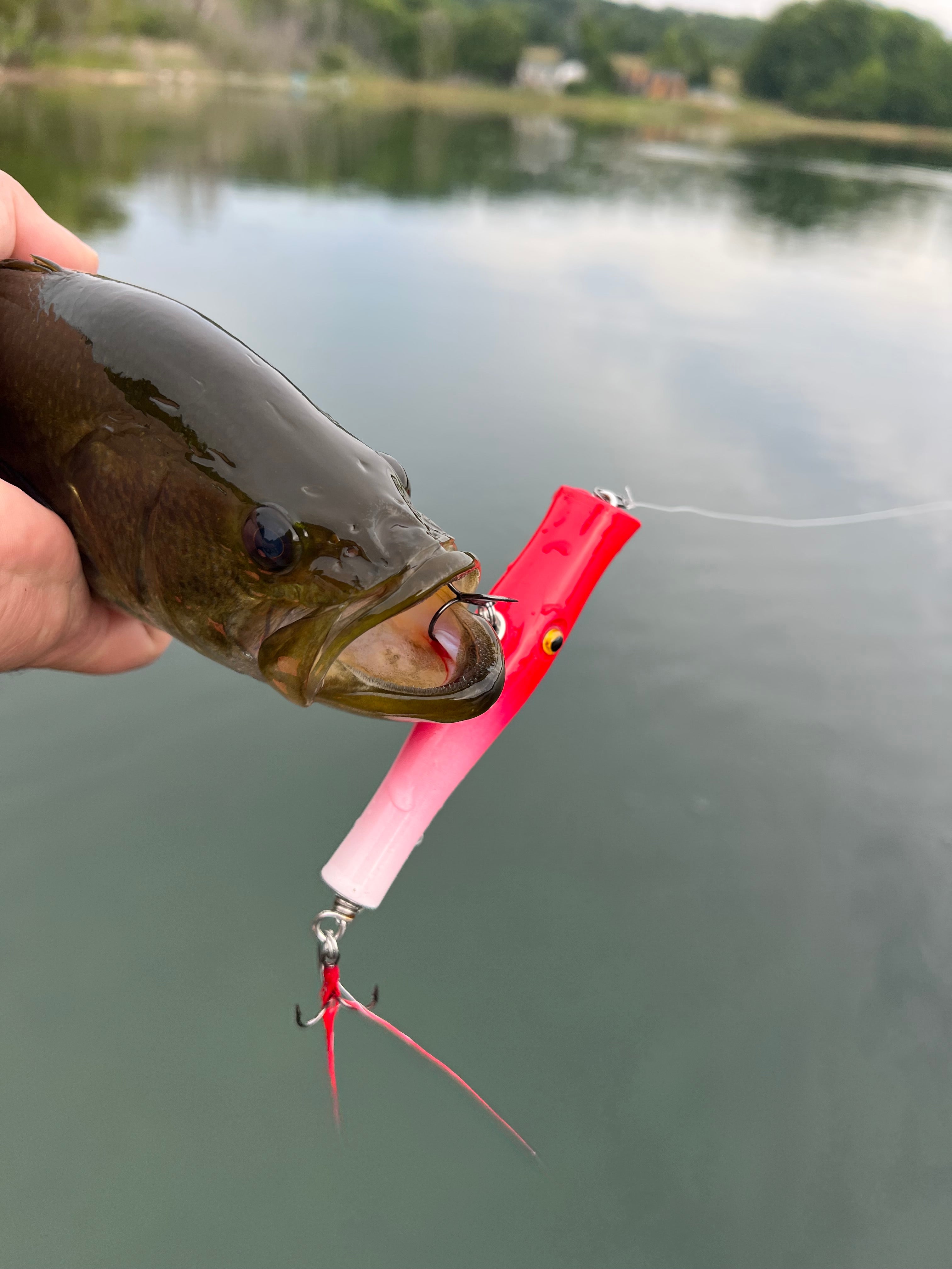 Largemouth, Smallmouth, Bass, Pike, pickerel, topwater, Siren 400, Red white lure plug