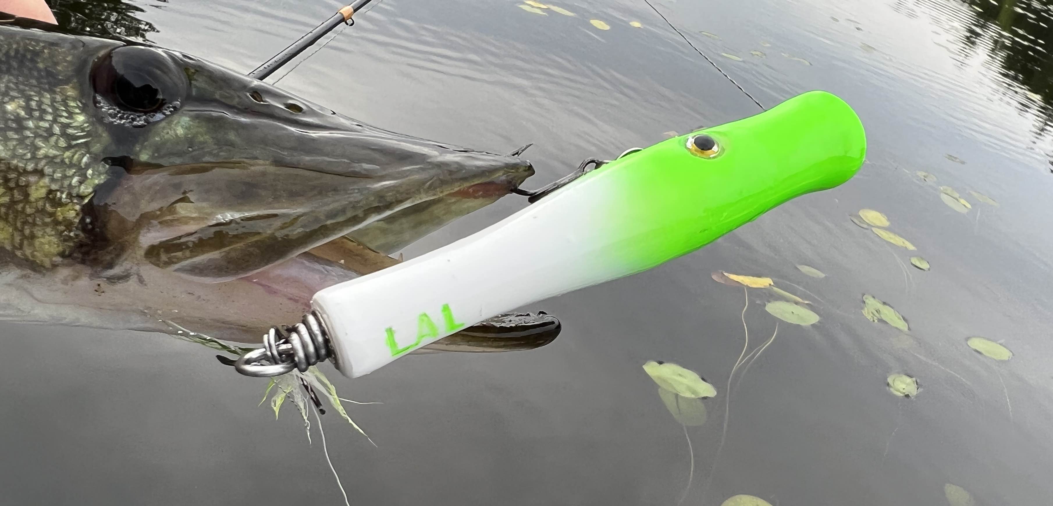 metal lip, stainless steel, bass, pike, musky, striper, fishing, wood, lure, custom, bait, pickerel, snook, vmc, spro, swivel, split ring, crappie, freshwater, saltwater, adventure, cedar, reclaimed, creek chub, finesse, fish, redfish, drum, multi species, angler, fisherman, popper, top water, green, chartreuse, white, 