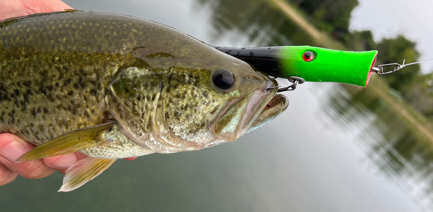 Popper style lure painted chartreuse and black