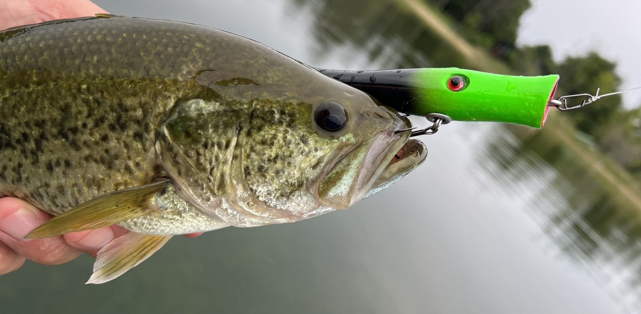 Siren 400 - lostartlures.com